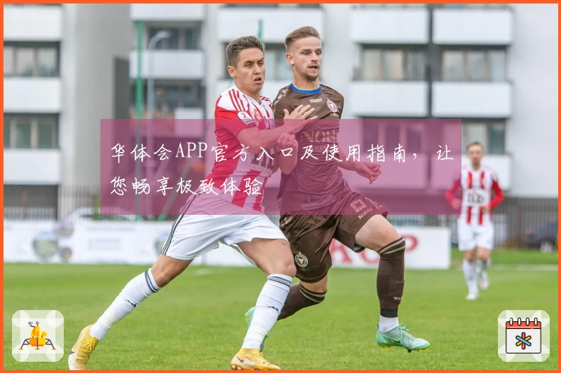 华体会APP官方入口及使用指南，让您畅享极致体验