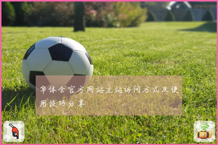 华体会官方网站主站访问方式及使用技巧分享